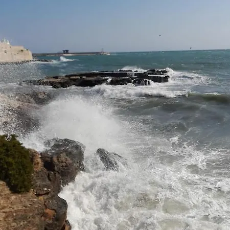 Il Vecchio Carrubo - Con Piscina A Sfioro * Macchia di Monte