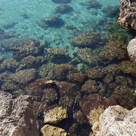 Il Vecchio Carrubo - Con Piscina A Sfioro