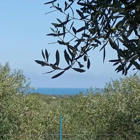 Il Vecchio Carrubo - Con Piscina A Sfioro Villa